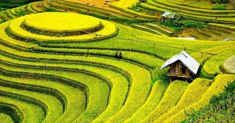 Freelancer Và Cơ Hội Kiếm Tiền Từ Nền Tảng Hotspot Matrix_Hiệu quả tiếp thị kỹ thuật số kênh